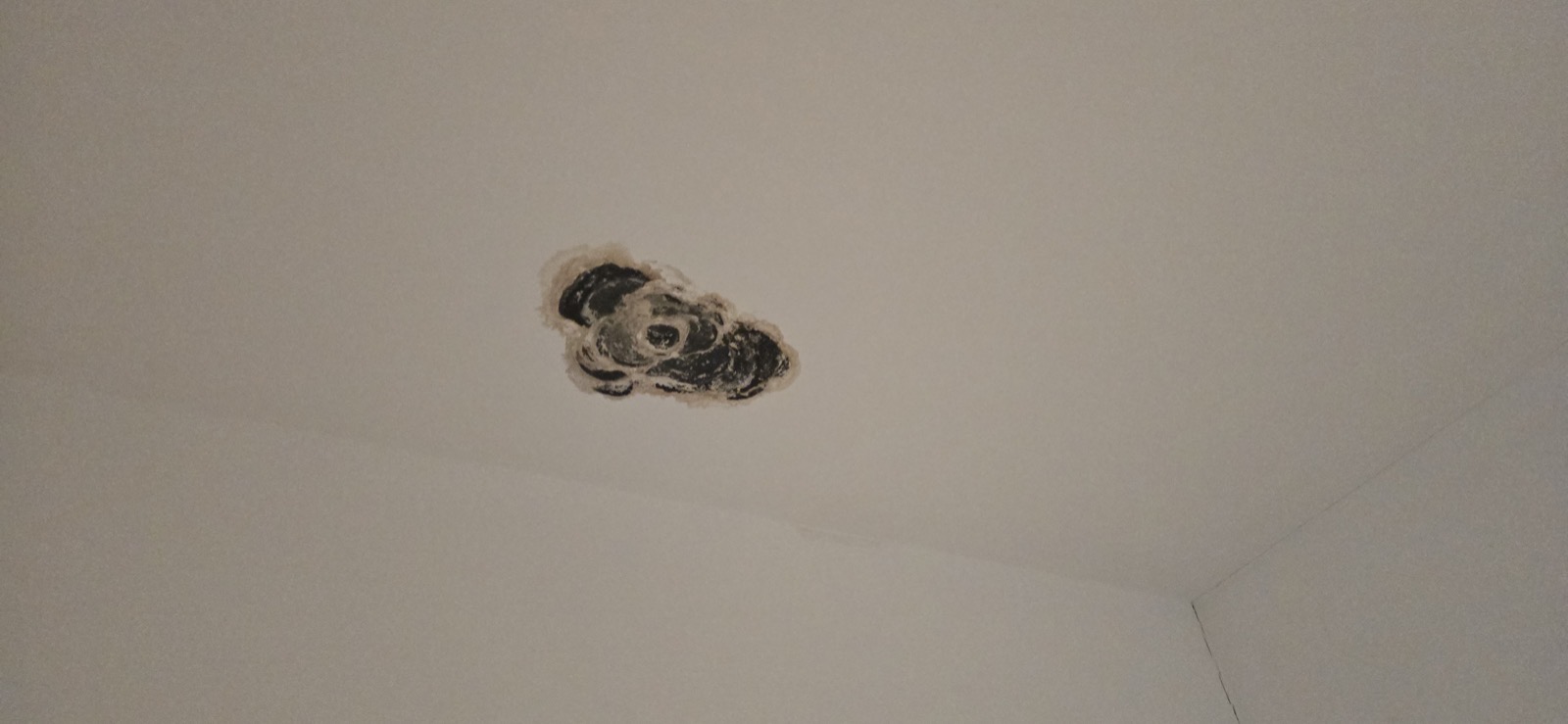 Schwarzer Schimmelfleck an der weißen Zimmerdecke vor der Sanierung — Europaallee Wohnung BK 04-11